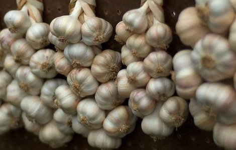 10 beneficii sanatoase ale usturoiului