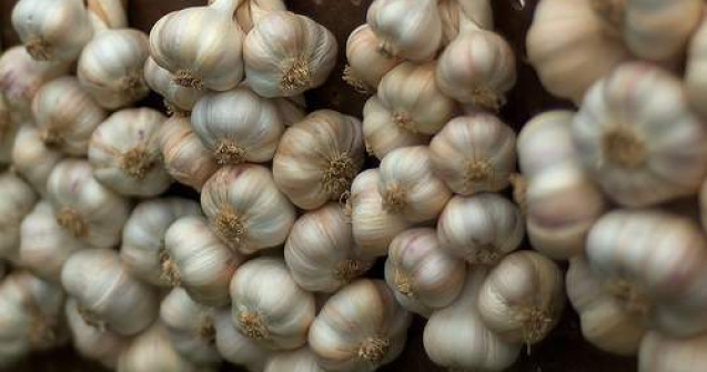 10 beneficii sanatoase ale usturoiului