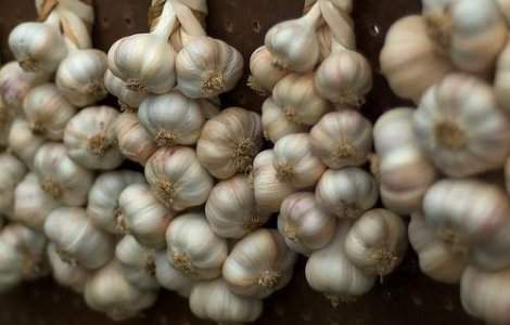 10 beneficii sanatoase ale usturoiului