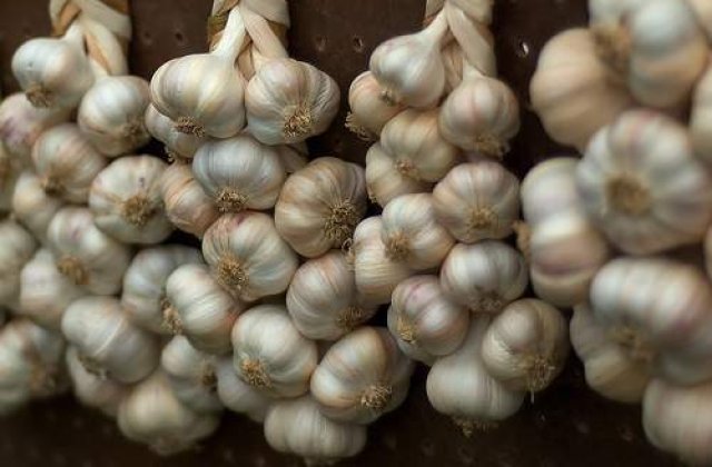 10 beneficii sanatoase ale usturoiului