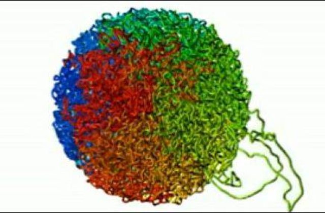 [VIDEO] Oamenii de stiinta au "descurcat" genomul uman