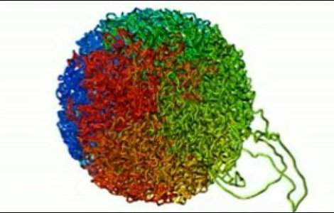  Video  Oamenii de stiinta au "descurcat" genomul uman