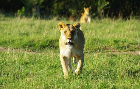  Top  Cum sa... iti transformi vacanta intr-o aventura de neuitat?