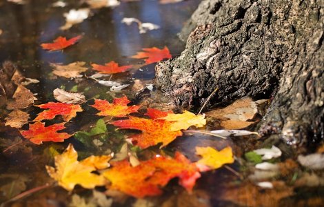 Prognoza meteo in urmatoarele doua saptamani