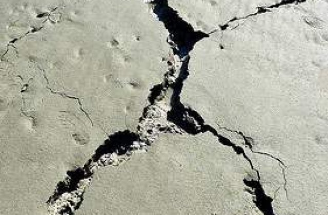 Mexicul, "zdruncinat" de un cutremur puternic