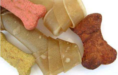 Cum alegem corect hrana uscata pentru caini