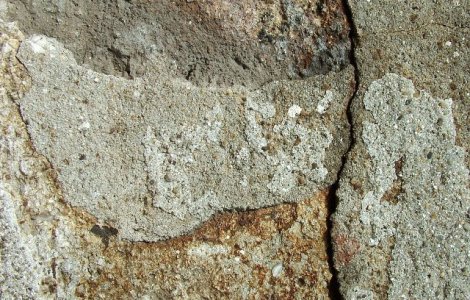 Cutremur cu magnitudinea de 2,9 grade pe Richter, in Vrancea