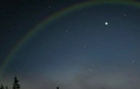  Top  Urangutanii sunt atrasi de femeile cu parul rosu. 10 lucruri ciudate care s-au petrecut de-a lungul timpului