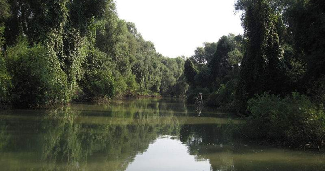 Delta si statiunile balneare au sustinut turismul in 2011