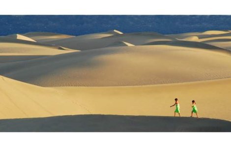  Top  Ar putea soarele din desert sa alimenteze Pamantul?