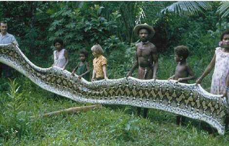 Agta, tribul in care oamenii traiesc cu serpii giganti