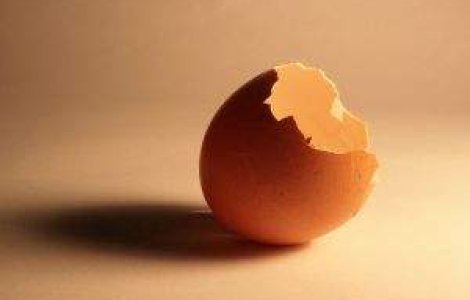 Comercializarea oualor de la "gaini stresate", intrezisa din 2012