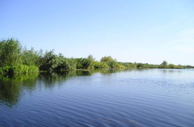 Se reintroduce vanatoarea in Delta Dunarii?