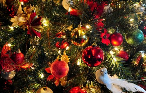 Dezavantajele bradului artificial