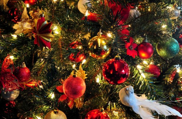 Dezavantajele bradului artificial