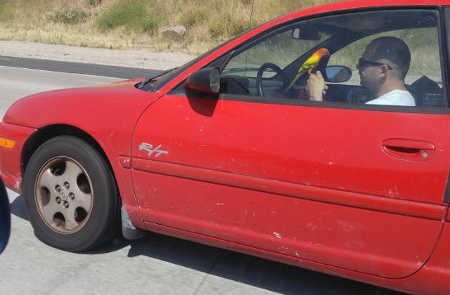 Imagini din trafic: 10 soferi inconstienti care nu ar fi trebuit sa obtina permisul de conducere