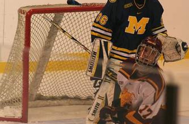 Conflict nationalist la un meci de hochei