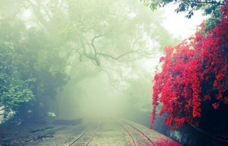 Cod galben de ceata in 19 judete