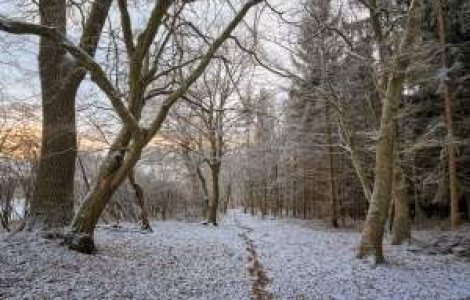 Meteo: Ninsori, polei si cea mai mica temperatura inregistrata iarna asta
