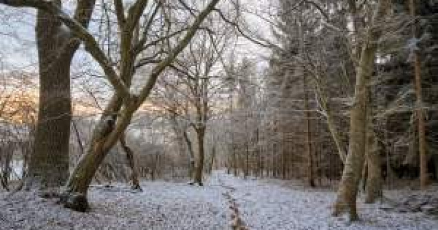 Meteo: Ninsori, polei si cea mai mica temperatura inregistrata iarna asta