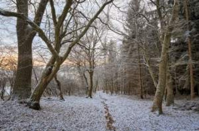 Meteo: Ninsori, polei si cea mai mica temperatura inregistrata iarna asta