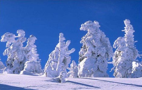 Drumul Rosu, cea mai mare partie din Poiana Brasov