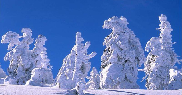 Drumul Rosu, cea mai mare partie din Poiana Brasov