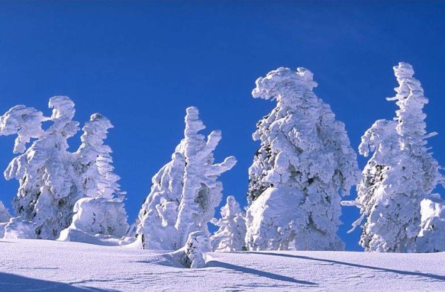 Drumul Rosu, cea mai mare partie din Poiana Brasov