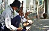 Lege contra cersetoriei: Amenzi pentru "milosi"