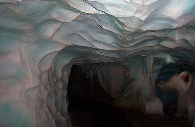 [FOTO]  Dovada clara ca Yeti exista