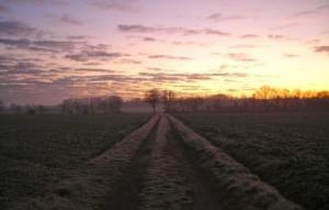 Meteo: Zapada putina si temperaturi ridicate de Revelion