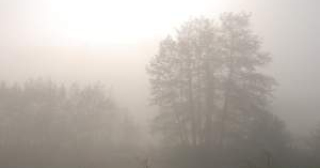 Avertizare de ceata in judetele Brasov si Covasna