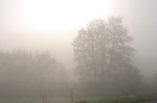 Avertizare de ceata in judetele Brasov si Covasna