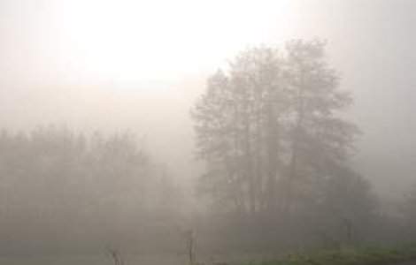 Avertizare de ceata in judetele Brasov si Covasna