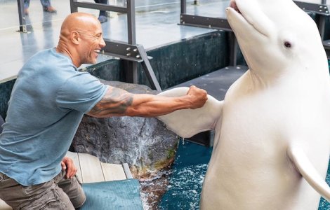  Top  Nu e chiar... de piatra. 10 momente in care Dwayne "The Rock" Johnson si-a aratat latura sensibila tuturor