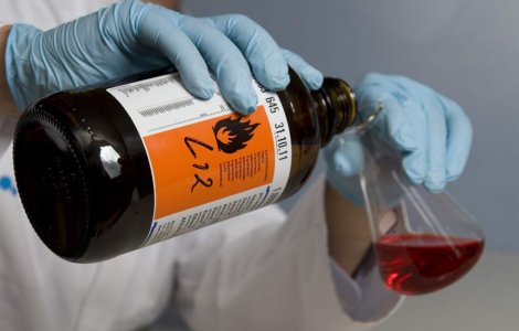 Topul celor mai stupide si inutile studii din 2011