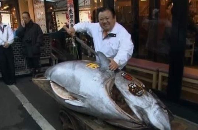 Cel mai scump ton din lume