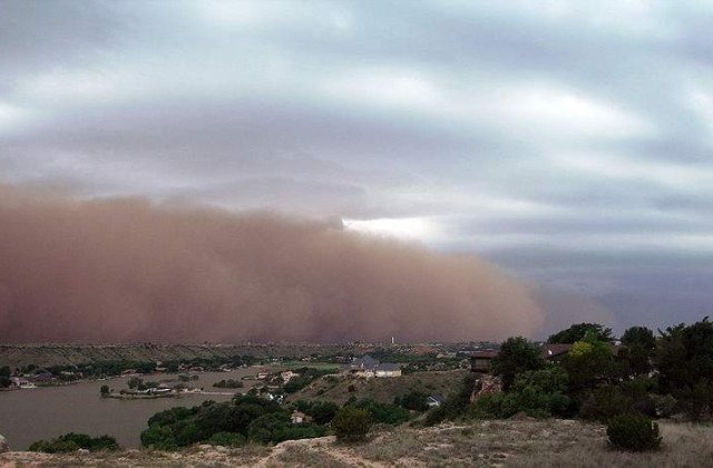 Furtuna puternica in Capitala: Copaci cazuti si masini avariate