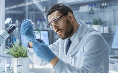 8 descoperiri recente in...