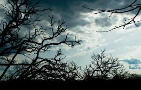 Meteo: Cum va fi vremea la mijlocul saptamanii?