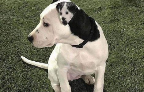  Top  15+ coincidente care demonstreaza ca imposibilul nu se intampla doar in filme