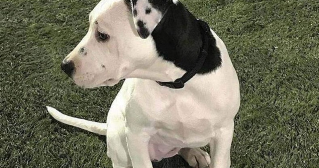  Top  15+ coincidente care demonstreaza ca imposibilul nu se intampla doar in filme