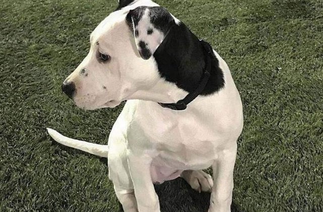 15+ coincidente care demonstreaza ca imposibilul nu se intampla doar in filme