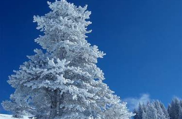 Statiuni montane din Europa, sub zapada