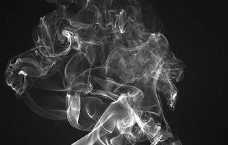 Un deputat polonez vrea "verde" la fumat in Parlament