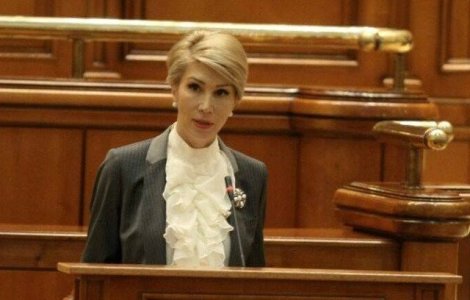Camera: PNL a propus in plen revocarea din functie a lui Dragnea si Iordache/ VIDEO