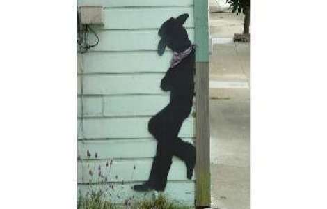 Moldovenii au invadat casa unei femei din Marea Britanie