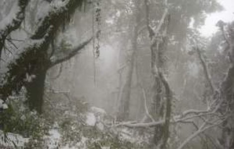 Informare meteo: Ninsori abundente in nord-vestul tarii