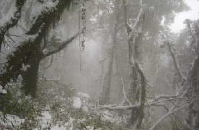 Informare meteo: Ninsori abundente in nord-vestul tarii