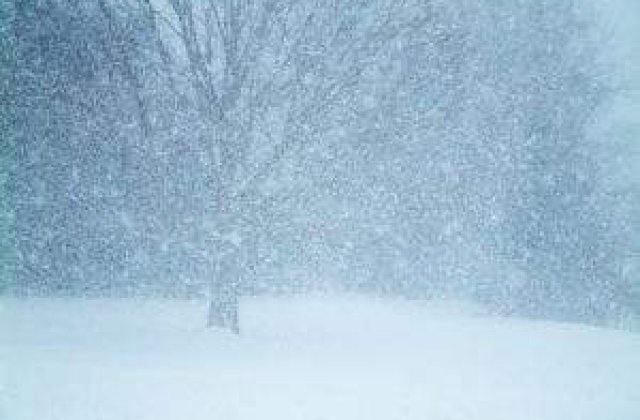 Avertizare: Weekend dominat de ninsori si viscol